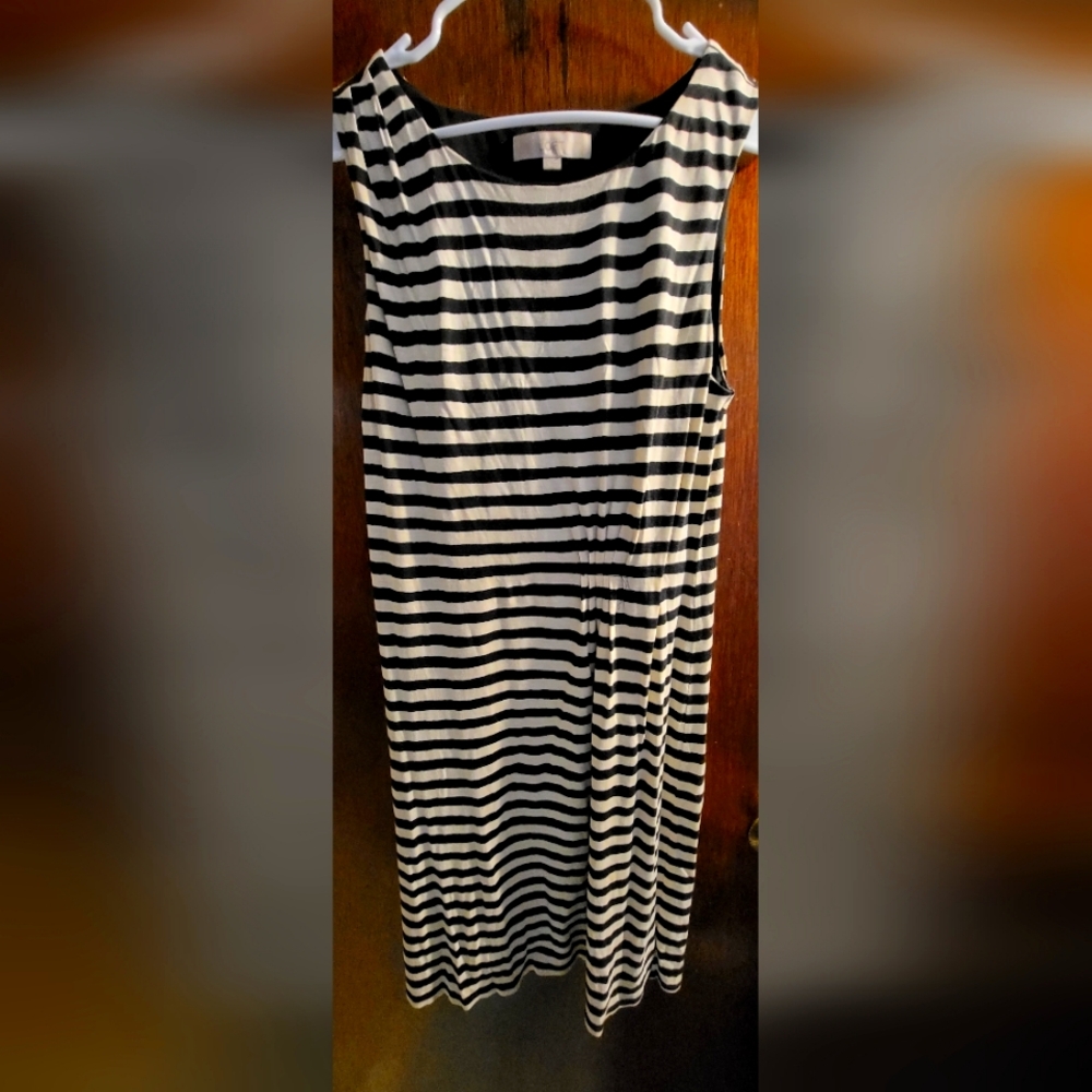 Ann Taylor The Loft Dress